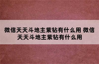 微信天天斗地主紫钻有什么用 微信天天斗地主紫钻有什么用